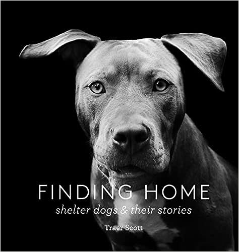 FINDING HOME: Shelter Dogs and Their Stories